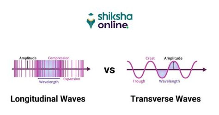 What is a two wave longitudinal study?