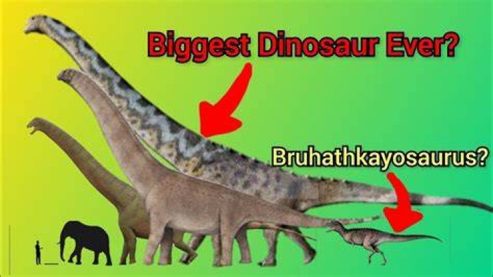 What is bigger than Bruhathkayosaurus?