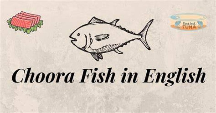 What is Chura fish called in English?