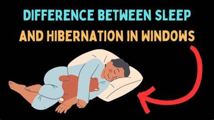 What is difference between hibernation and sleep?