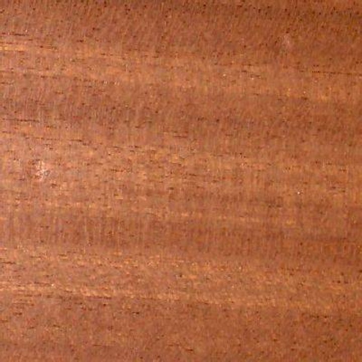 What is found in Sapele?