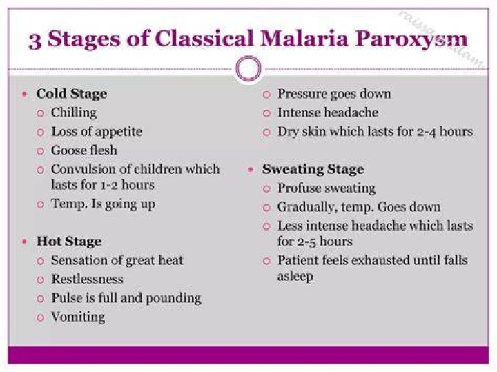 What is malaria paroxysm?