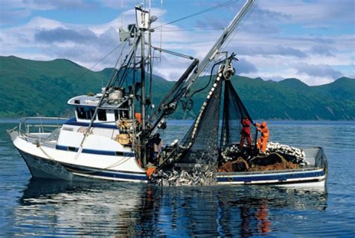 What is meant for commercial fishing?