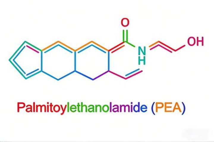What is Palmitoylethanolamide made from?