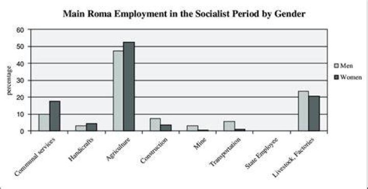 What Is Roma Army’s Gender? Inside Men’s Rights Controversy