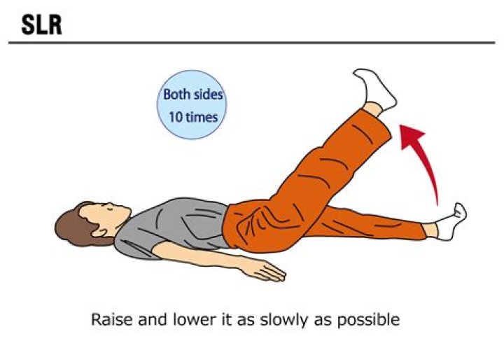 What is SLR exercise?