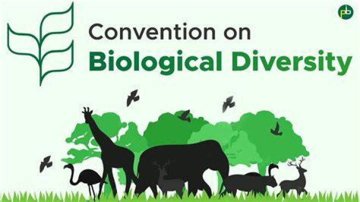 What is the Convention of biodiversity?