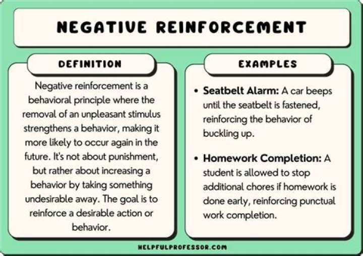 What is the definition of a negative reinforcer?