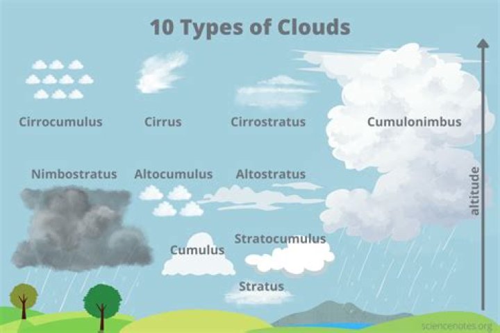 What is the difference between cirrus and stratus clouds?