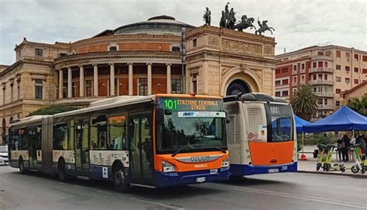 What is the main transportation in Brazil?