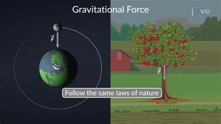What is the meaning of Forta?