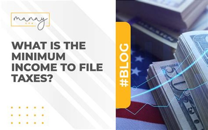 What is the minimum income to file taxes in 2013?