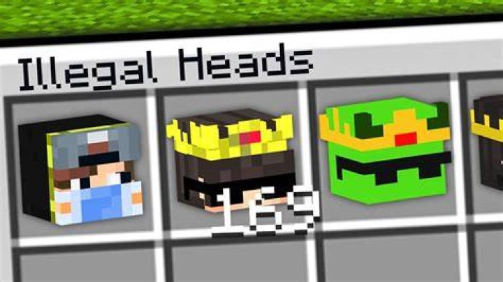 What is the rarest head in Minecraft?