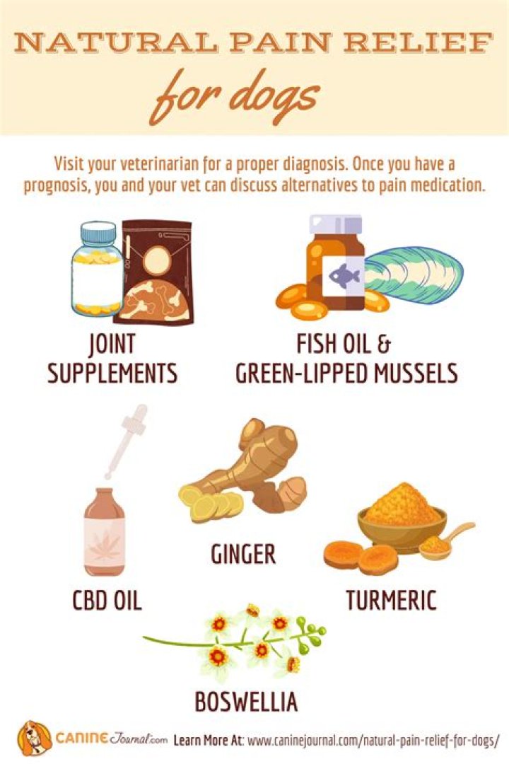 What natural remedies can I give my dog for kidney failure?