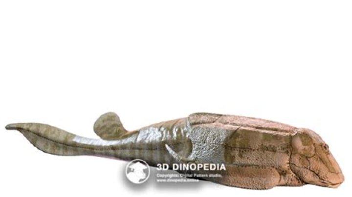 When did Bothriolepis go extinct?