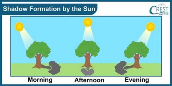 Where is the position of the shadow in the morning?