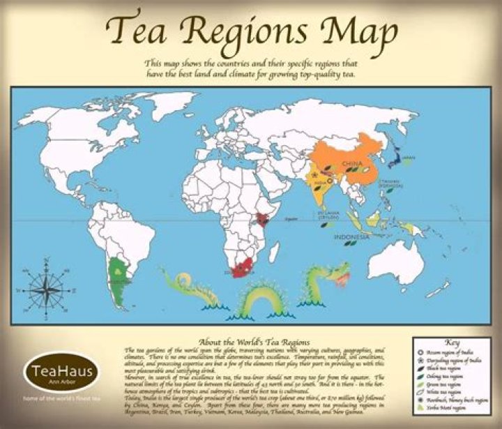 Which are the main tea growing regions of the world?