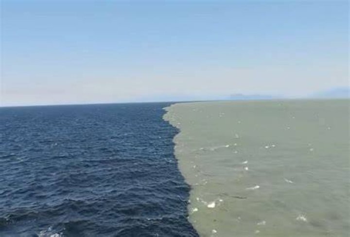Which Two Oceans Touch Australia WHICHSI