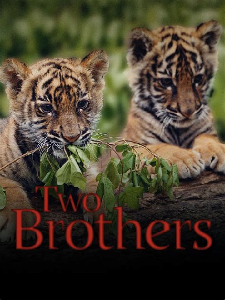 Who are his two brothers?