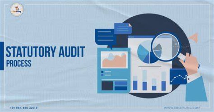 Who can be a statutory auditor?