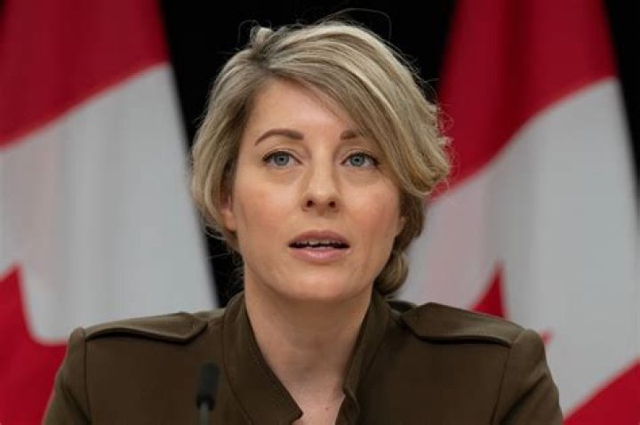 Who Is Félix Marzell? Melanie Joly Husband Married Life And Kids