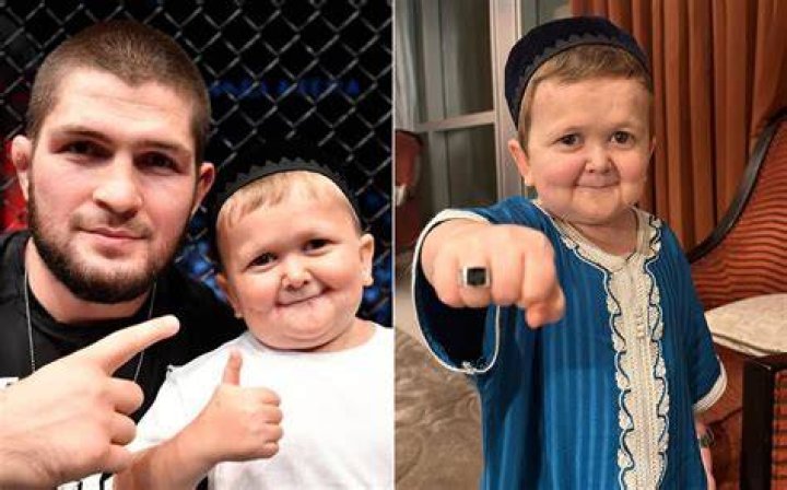 Who is Hasbulla Magomedov? Here is What We Know About Him NaijaMusic
