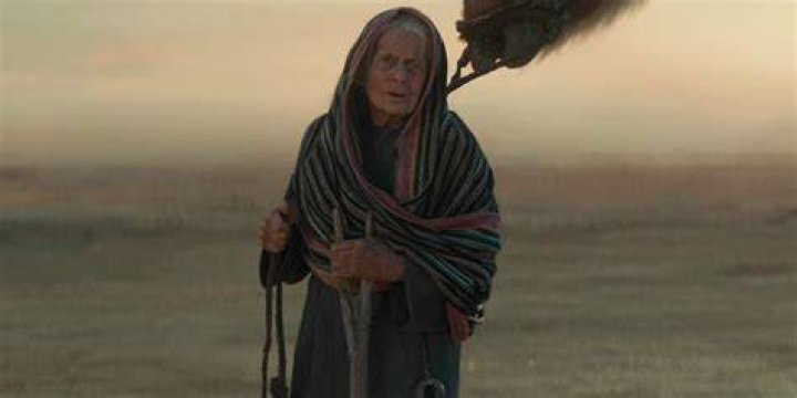 Who is the old pilot in rise of Skywalker?