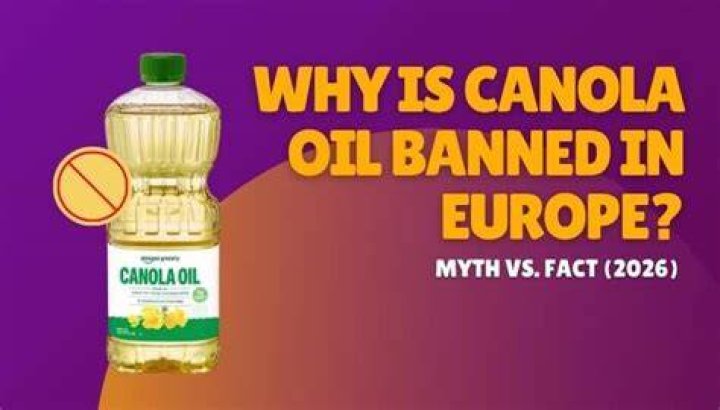 Why Is Canola Oil Banned In Europe? Reason Behind The Misconception! |