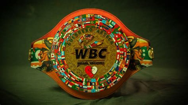 World Boxing Council promise stern action against rabbit punching